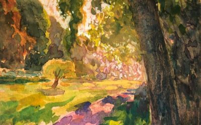 IMG-20260225-WA0005_b