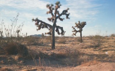 Short Story 1168 x 000095920002